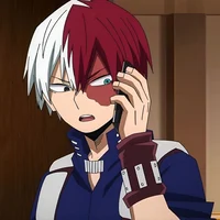 Shoto Todoroki