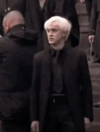 Draco and Scorpius