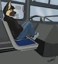 Furry Bus