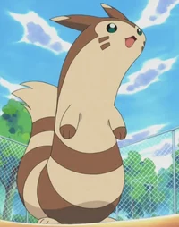 Furret