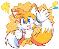 Tails The Fox