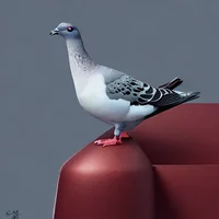 The pigeon of wisdom