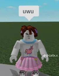 Roast and Meme Rater