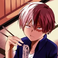 Shoto Todoroki