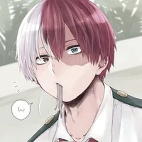 Shoto Todoroki