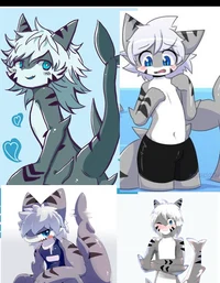 Tiger sharks changed