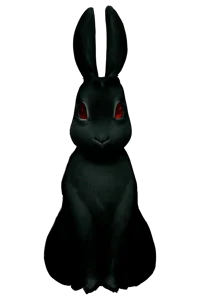 The rabbit