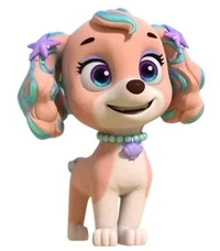 Corel from paw patro