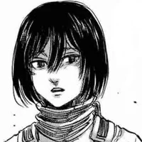 Mikasa ackerman