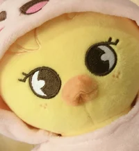BbokAri