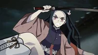 Human nezuko kamado