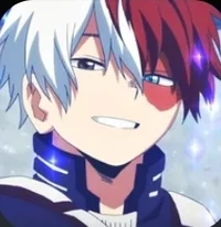 Shoto Todoroki 