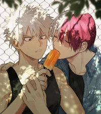 Bakugou y todoroki 