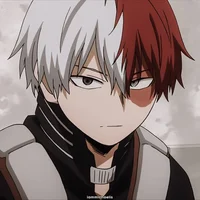 Shoto Todoroki Ayank