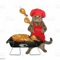 cat grilling