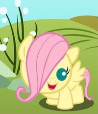 Baby fluttershy