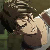 Levi Ackerman 