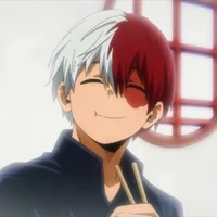 Shoto Todoroki