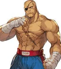 Sagat SF IV
