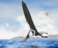 Pteranodon