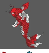 Koi