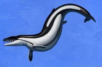 Basilosaurus