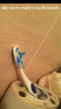 Your toothbrush 