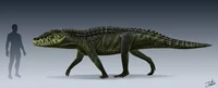 Barinasuchus
