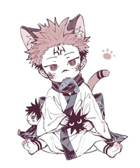 Sukuna -kitten catb-