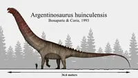 Argentinosaurus 