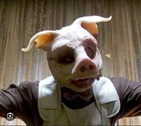 Dc Professor Pyg