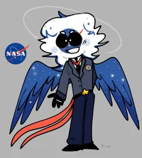 NASA as a human