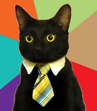 Buisness cat
