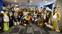 Furry Convention