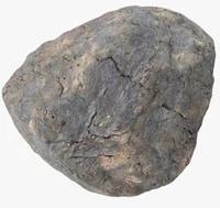 rock man is very dum