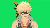 Katsuki Bakugou