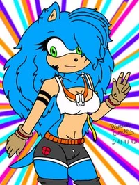 Sonica The Hedgehog