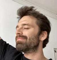 Sebastian Stan 