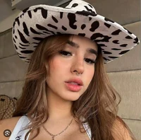 Domelipa