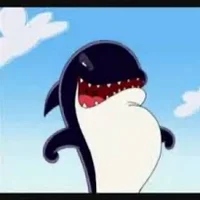 Buster The Orca
