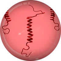 Plague inc prion