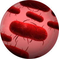 Plague inc Bacteria