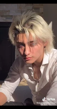 Danny Phantom exe