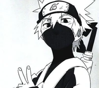 Kid Kakashi Hatake 