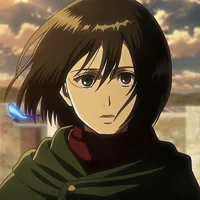 Mikasa ackerman