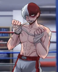 Todoroki