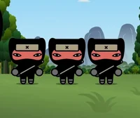 Secuaces ninja