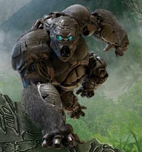 Optimus primal
