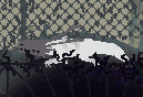 White Lizard