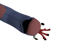 Ricky sock puppet